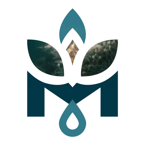 Modern Elements
